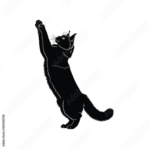 Playful black cat silhouette reaching up   vector illustration