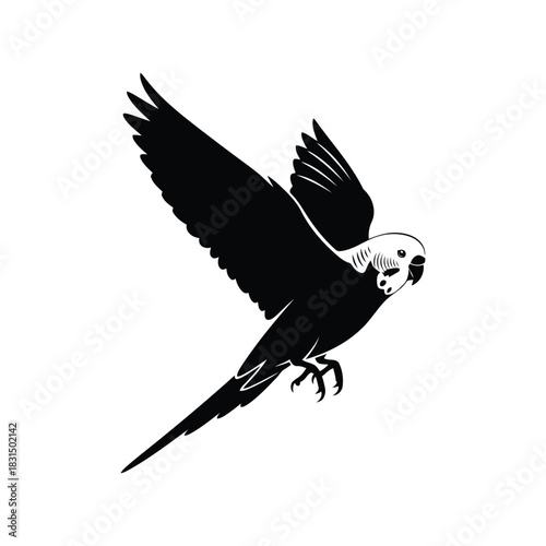 Budgerigar flying vector black white design