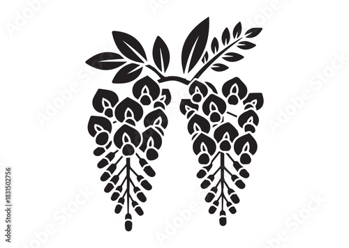 Wisteria flowers icon, Wisteria flowers Black silhouette vector