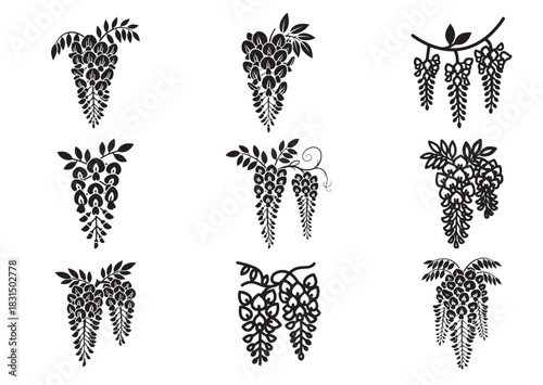 Set of Wisteria flowers icon, Wisteria flowers Black silhouette vector