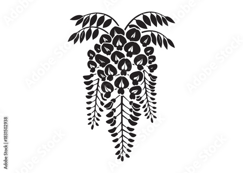 Wisteria flowers icon, Wisteria flowers Black silhouette vector