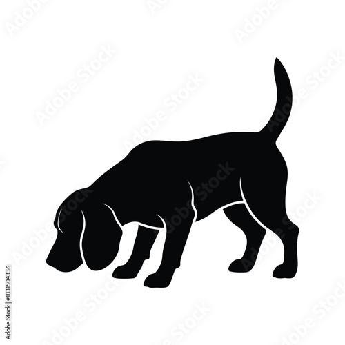 Hound dog sniffing ground vector icon black silhouette