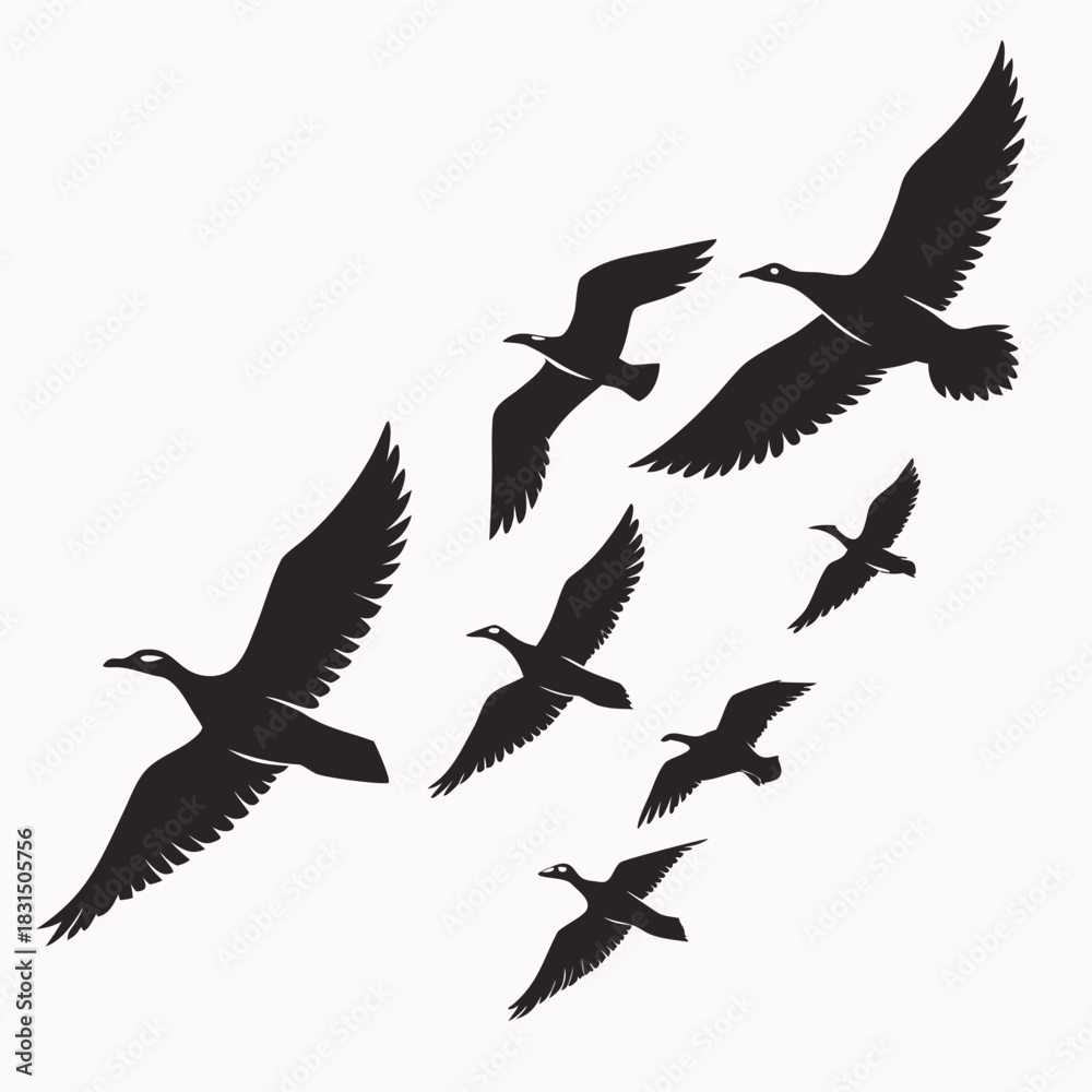 Fototapeta premium Flock of black birds flying in formation vector graphic