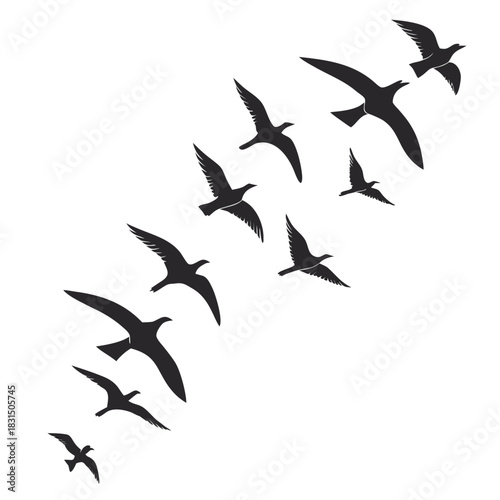 Flock of black birds flying in formation silhouette 1