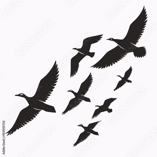 Flock of black birds flying in formation vector graphic