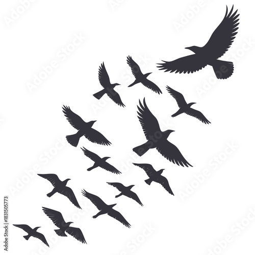Flock of dark grey birds flying in formation silhouette