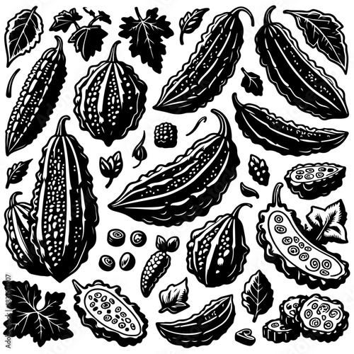 Illustration of various bitter melons with leaves and sliced pieces in black and white style