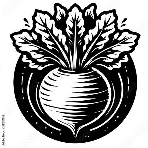 Illustration of a beet with leaves in black and white with a decorative circle background design element