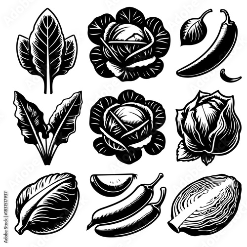 Illustration featuring various black and white vegetables including cabbage spinach and peppers artfully arranged