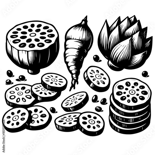Illustration of lotus root whole and sliced with seeds and artichoke in black and white style art