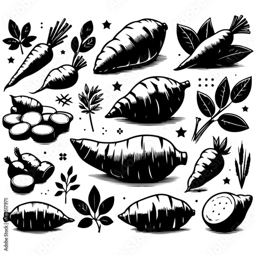 Illustration featuring various root vegetables such as carrots sweet potatoes and turnips in black and white style