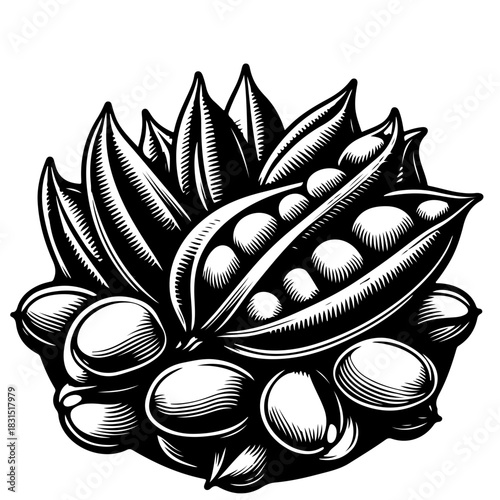 Illustration of an open pea pod with visible peas surrounded by closed pods and loose peas in black and white