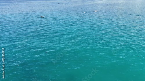 Wallpaper Mural Aerial view drone shot of beautiful tropical Krui Beach in Lampung. Fishermen are fishing in the sea. Torontodigital.ca