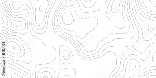 Abstract topographic White wave paper curved reliefs. Seamless swirl wave contour maps. Vector illustration. topography line map.