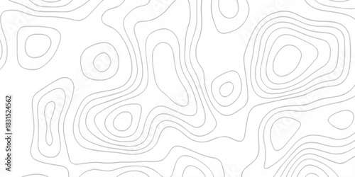 Abstract topographic White wave paper curved reliefs. Seamless swirl wave contour maps. Vector illustration. topography line map.
