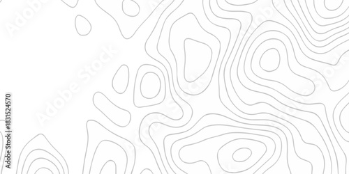 Abstract topographic White wave paper curved reliefs. Seamless swirl wave contour maps. Vector illustration. topography line map.