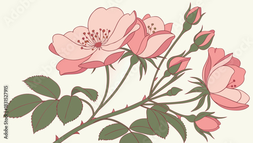 Delicate pink wild rose illustration with blooming flowers and developing buds on a thorny stem, framed by lush green leaves against a soft background, perfect for elegant design.