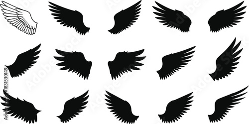 Set of 12 wing vector icon silhouettes for various flying, freedom, or angelic concepts on dark background