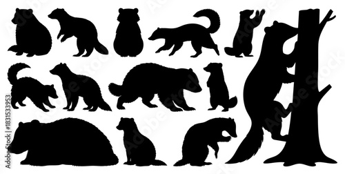 Badger Black Silhouettes Set, Wild Animal Vector Icons in Climbing and Walking Poses, Transparent Background