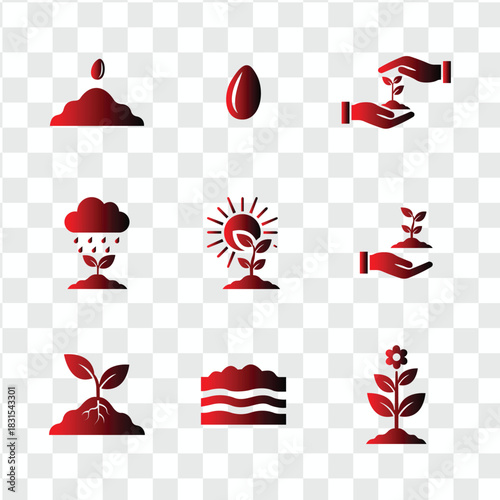Growth Cycle: An artistic representation of a plant's growth cycle, from seed to a blooming flower, symbolizing the beauty of life's evolution.