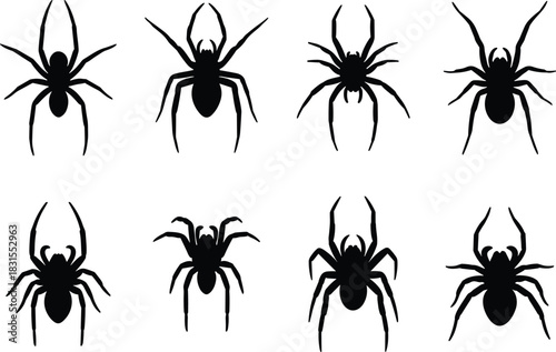 Vector Collection of Black Spider Silhouettes Arachnids and Scary Insects for Halloween, Horror, Phobia, Wildlife, Danger, and Spooky Design Elements.