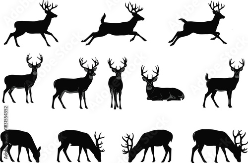 Set of Deer Silhouettes, Buck with Antlers, Wild Animal Poses, Hunting and Wildlife Reserve Vector Icons, Forest Nature Graphic.