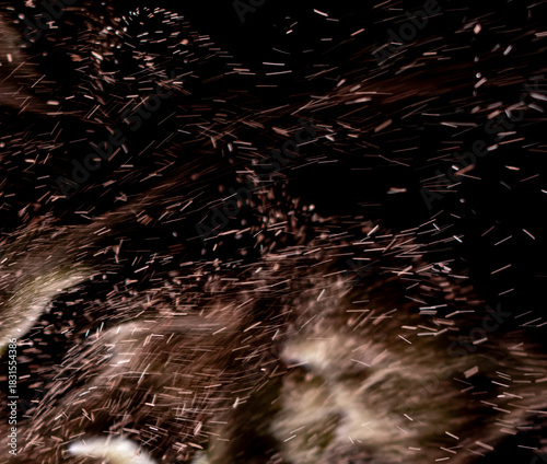 A black and white photo of a cat with a lot of dust on it