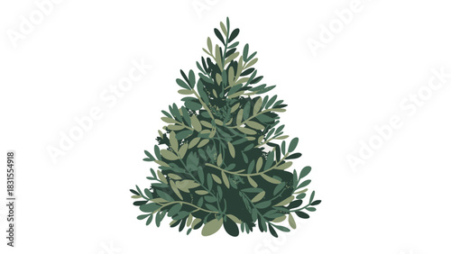 Evergreen shrub: The tranquil, natural shape of a evergreen shrub, the leaves are the deep green color, which show the vigor of nature and the beauty of life.