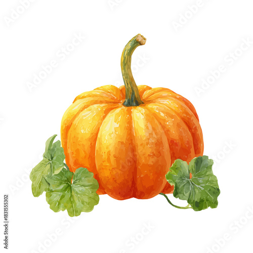 Stylized watercolor Pumpkin vector, modern artistic illustration with high-quality details on a pure white background.