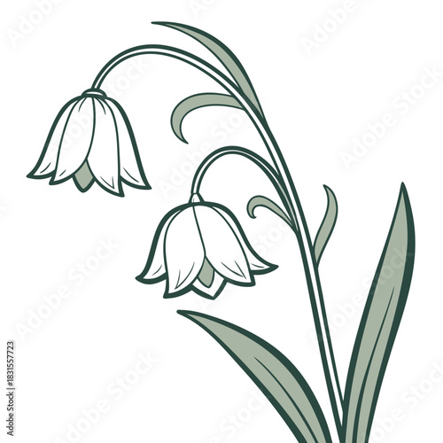 Floral Silhouette: The delicate elegance of a flowering plant in stark contrast, embodying purity and simplicity. Its graceful lines and soft tones evoke a sense of tranquility and natural beauty.