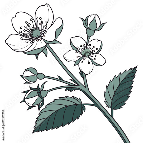 Floral Elegance: Delicate blooms, with intricate details, blossom on a graceful stem, their petals unfurling in a gentle dance of nature's beauty. A celebration of spring awakening