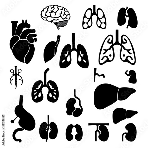 A collection of black and white icons of various human organs are arranged on a white background