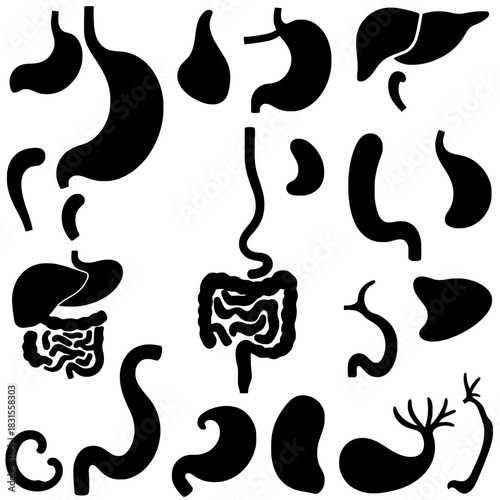 Silhouetted anatomical illustrations of various human digestive system organs arranged in a grid pattern