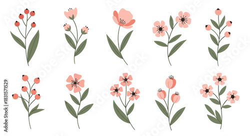 Cute and simple vector illustrations of various pink floral elements and red berry branches, perfect for design projects and decorations.