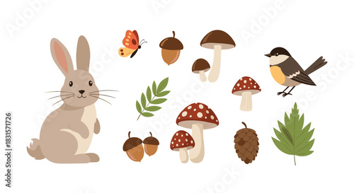Cute forest animals and woodland elements set featuring a rabbit, bird, mushrooms, acorns, and leaves for autumn nature themes.