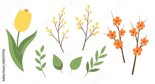 Charming illustration of spring flowers and foliage featuring a yellow tulip, budding branches, and vibrant leaves on a white background.