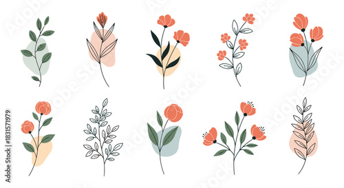 Set of delicate minimal botanical illustrations with leaves and flowers on abstract pastel backgrounds.