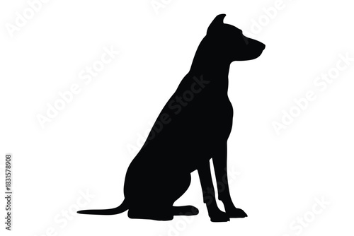 Labrador retriever dog silhouette vector, Dog breed black silhouette vector