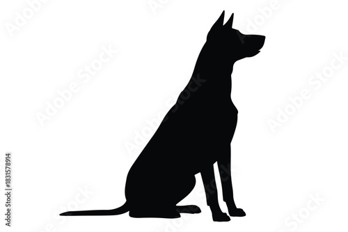 Labrador retriever dog silhouette vector, Dog breed black silhouette vector