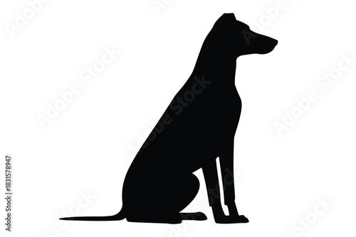 Labrador retriever dog silhouette vector, Dog breed black silhouette vector
