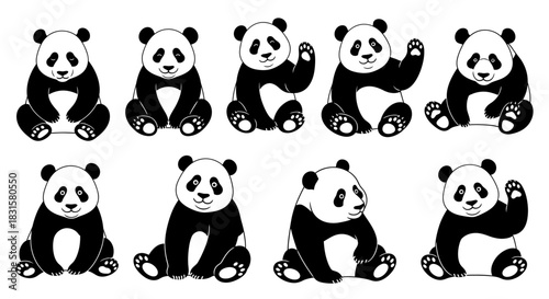 Cartoon giant panda bears in various sitting poses, vector set