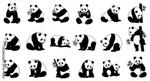 Panda bear cartoon illustrations collection with bamboo on white