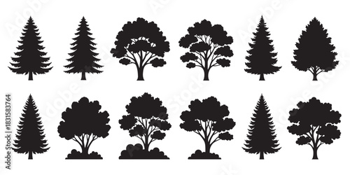 Collection of black tree silhouettes featuring various types of coniferous and deciduous trees, presented as a set of graphic vector icons for nature and forest themes