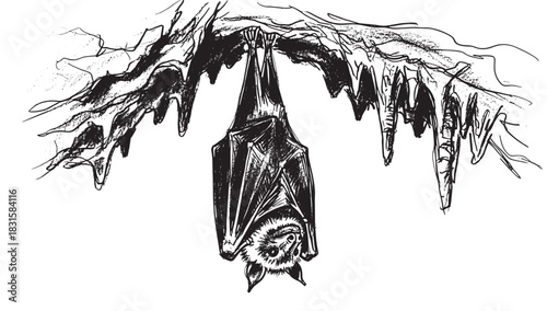 Nocturnal bat with folded wings hanging upside down from a stalactite-covered cave ceiling in a detailed black and white hand-drawn sketch style