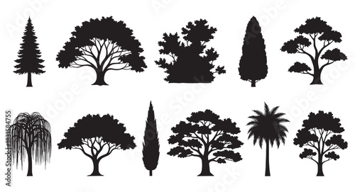 Diverse collection of black tree silhouettes featuring various species like pine, oak, palm, and willow, presented as a flat vector graphic set for nature or design concepts