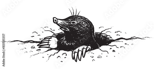 Black and white hand-drawn illustration of a cute mole emerging from the ground, rendered in a vintage, textured, woodcut style with a distressed, grunge effect
