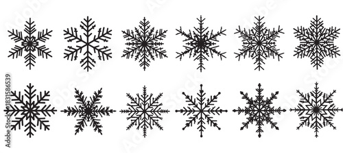 Collection of twelve black snowflake icons with various intricate and simple designs, representing winter, Christmas, and cold weather in a graphic vector style illustration set