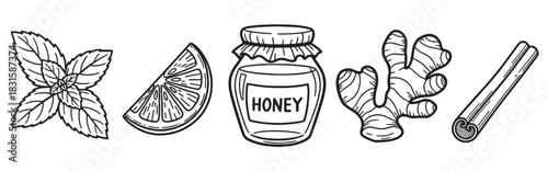 Set of hand-drawn natural ingredients including mint, lemon, honey, ginger, and cinnamon for making healthy tea, presented in a simple black and white doodle line art style