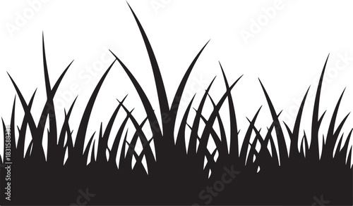 Silhouette of tall green grass against a white background