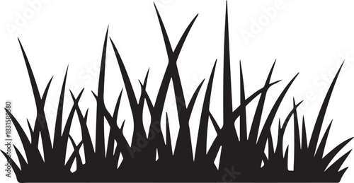 Silhouette of tall green grass blades against a white background